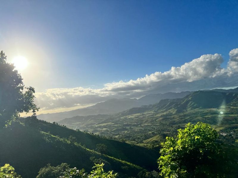 WhatsApp Image 2023-11-16 at 03.54.47