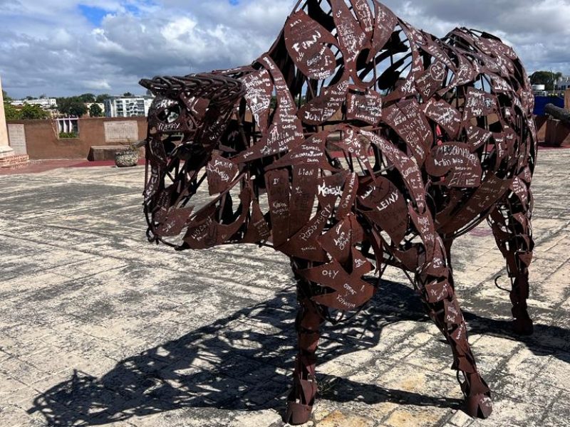 WhatsApp Image 2023-11-16 at 22.15.40 (3)