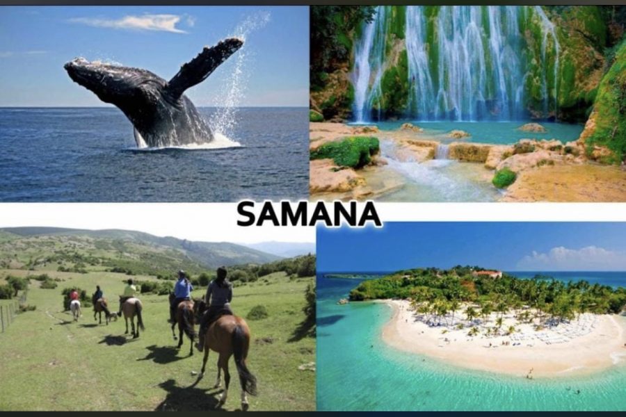 Samana Adventure: Limon Waterfall And Bacardi Island