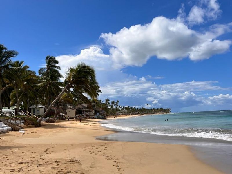 WhatsApp Image 2023-11-16 at 03.54.44 (1)