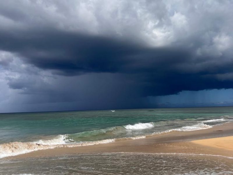 WhatsApp Image 2023-11-16 at 03.54.45 (2)