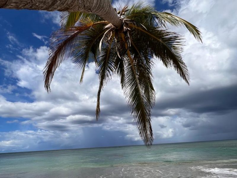 WhatsApp Image 2023-11-16 at 03.54.45 (3)