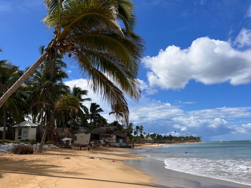 WhatsApp Image 2023-11-16 at 03.54.45